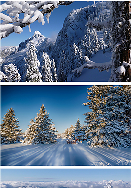 冬天的雪景