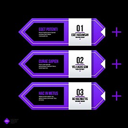 紫色的信息图表的步骤