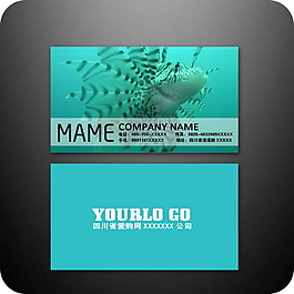 个性水族企业名片