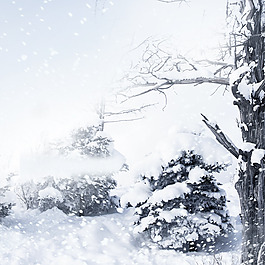 冬季雪景背景图