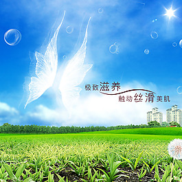 洗护主图