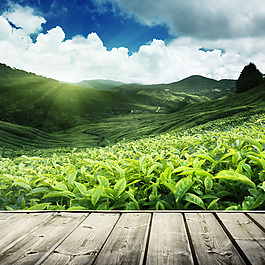 清爽促销推广图