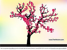 开满花的树
