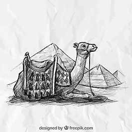 手拉骆驼和埃及金字塔