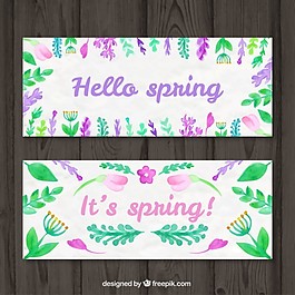 手绘各种树叶横幅