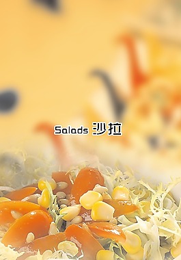 西餐沙拉封面