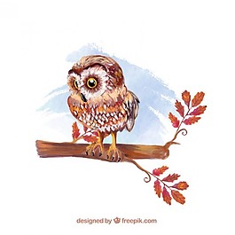 水彩手绘猫头鹰插图