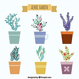 可爱的药草花园