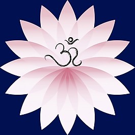 莲花花的象征