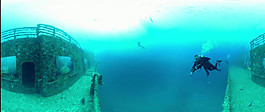 绝美海底画展VR视频