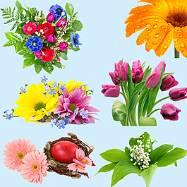 鲜花PS分层素材