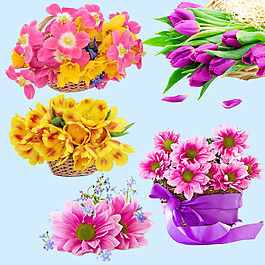 鲜花分层PS素材