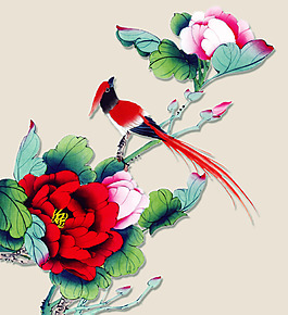 花鸟psd源文件