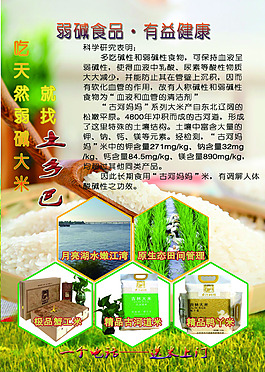 宣传单背面有机大米