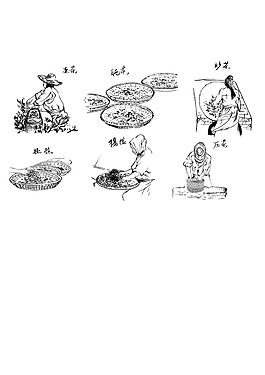 製茶工藝圖片製茶工藝圖片製茶工藝線描製茶工藝圖片