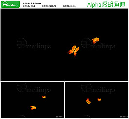 两只黄色蝴蝶飞舞 带透明通道