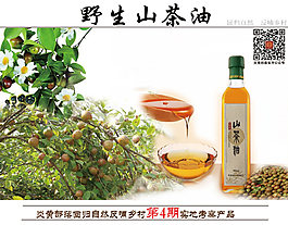 野生山茶油