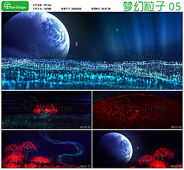 梦幻粒子演绎05