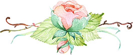 淡彩手绘花苞1213-带通道