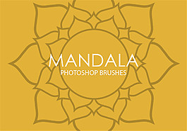 手绘漂亮的太阳花、向日葵花朵花纹Photoshop笔刷Mandala系列