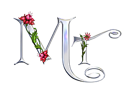 MT字母