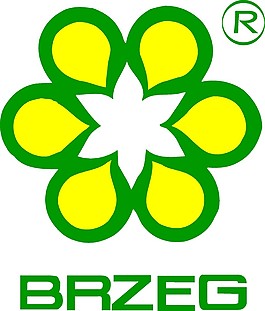 时尚个性LOGO元素设计矢量