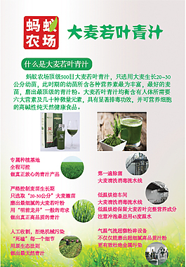 大麦若叶