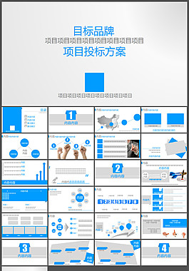品牌项目投标方案通用PPT模板