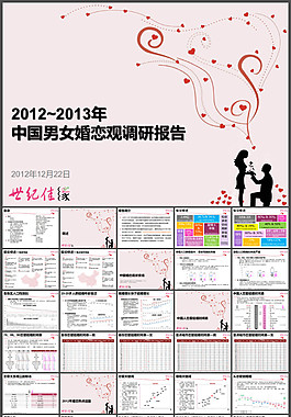 2012-2013年中国男女婚恋观调研报告PPT文稿