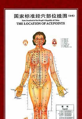 国家标准经穴部位挂图psd素材