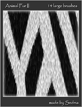 动物皮毛纹理Photoshop笔刷素材下载