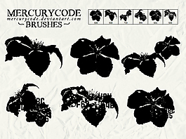 花朵、花瓣剪影PS笔刷下载