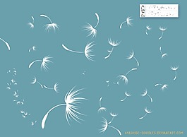 漂亮的蒲公英Photoshop笔刷素材