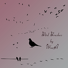 鸟类剪影笔刷