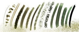 草木、叶子Photoshop植物渲染笔刷