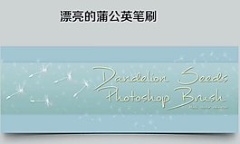 美轮美奂的蒲公英飘扬背景装饰photoshop笔刷素材