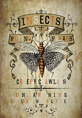 复古怀旧的英文昆虫图案