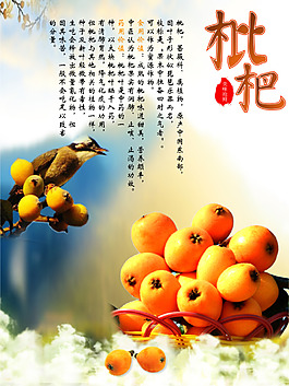 枇杷相框