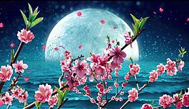 八月十五唯美月色星空 挑花花瓣流星