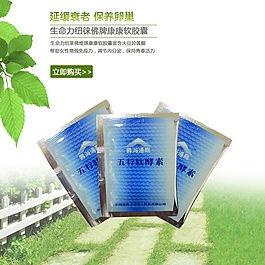 五行肽酵素