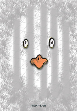 保护野生动物公益海报