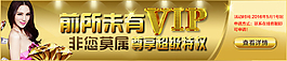 VIP海报