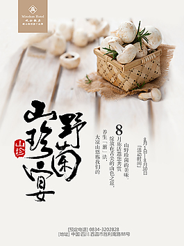 野生菌海报