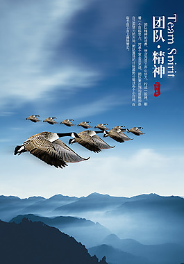 团队精神