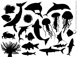 大海生物集锦
