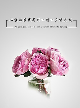 psd 海报 淘宝  背景