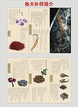 玛卡虫草藏红花养生折页