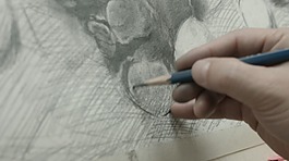 素描特写
