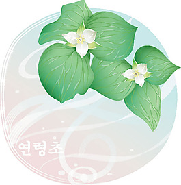 矢量小茉莉花