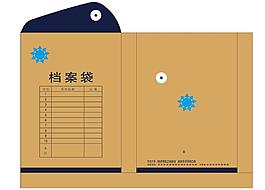 档案袋
